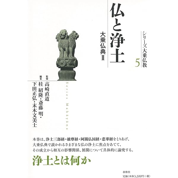 シリーズ大乗仏教6 空と中観 | 高崎 直道, 斎藤 明 |本 | 通販 | Amazon
